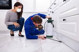 Real Estate Pest Inspections in Wood River, IL